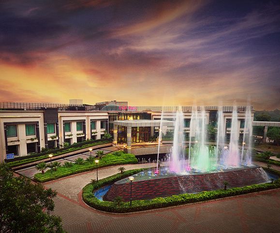 Escorts Near City Park Resort